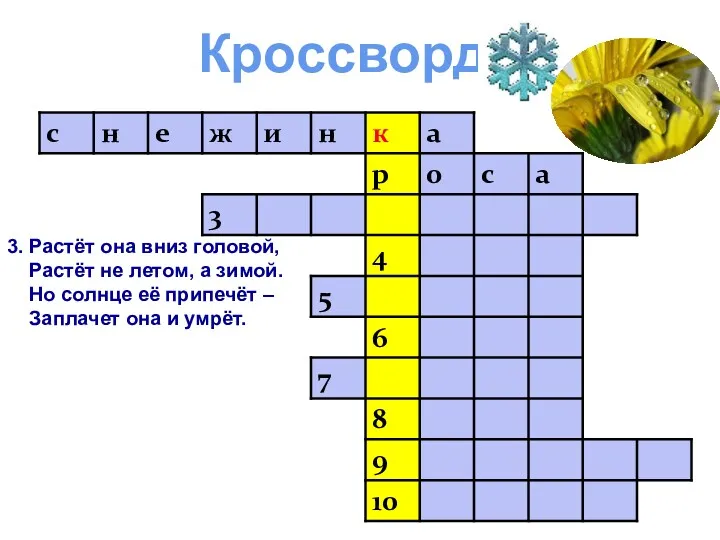 Кроссворд 3. Растёт она вниз головой, Растёт не летом, а