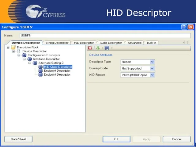 HID Descriptor