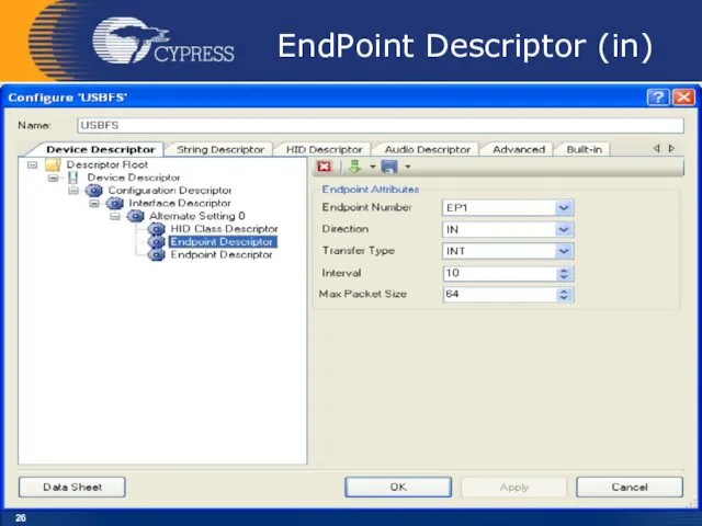 EndPoint Descriptor (in)
