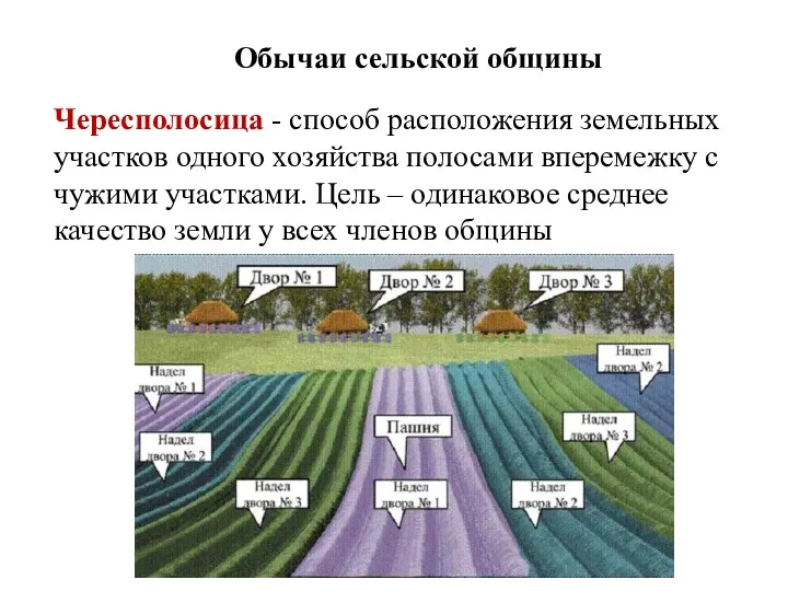 Обычаи сельской общины Чересполосица - способ расположения земельных участков одного