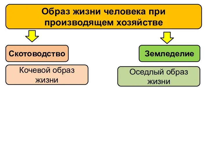 Образ жизни человека при производящем хозяйстве Скотоводство Земледелие Кочевой образ жизни Оседлый образ жизни