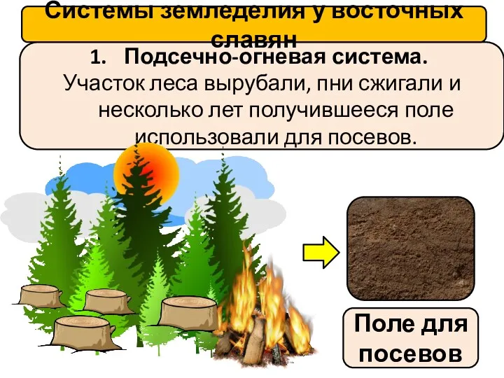Подсечно-огневая система. Участок леса вырубали, пни сжигали и несколько лет