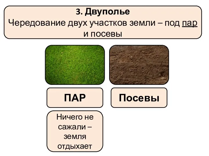 3. Двуполье Чередование двух участков земли – под пар и