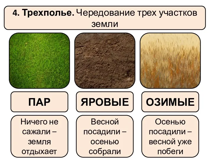 4. Трехполье. Чередование трех участков земли ПАР Ничего не сажали