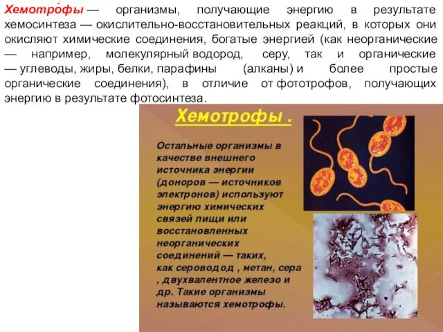 Хемотро́фы — организмы, получающие энергию в результате хемосинтеза — окислительно-восстановительных