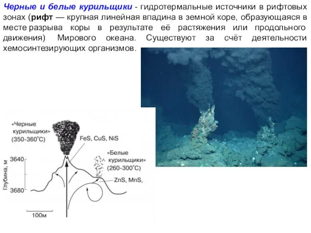 Черные и белые курильщики - гидротермальные источники в рифтовых зонах (рифт — крупная