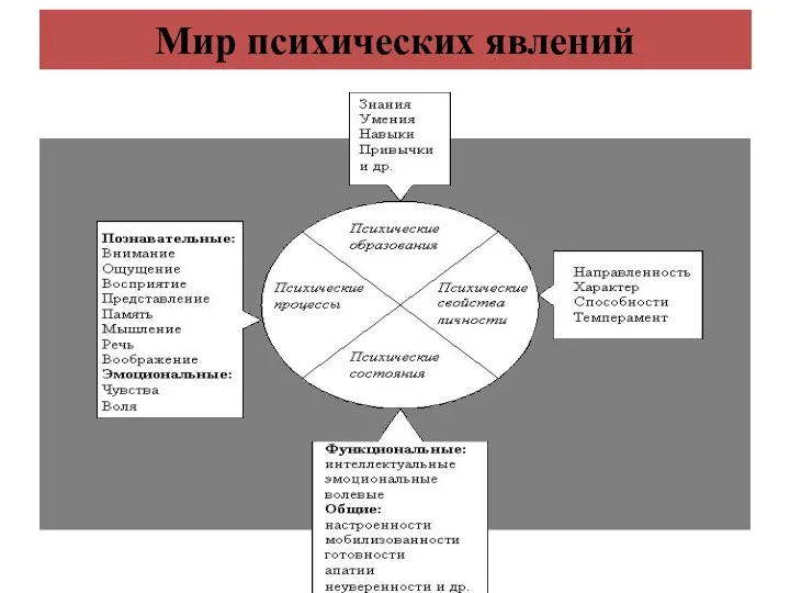 Мир психических явлений