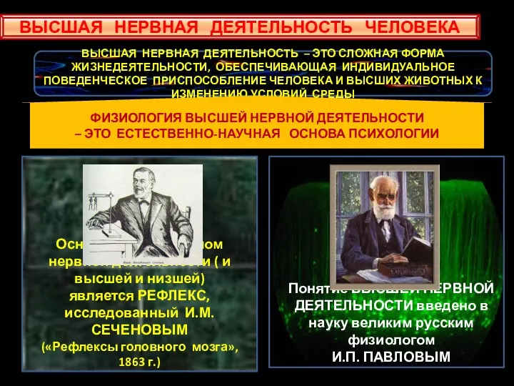 ВЫСШАЯ НЕРВНАЯ ДЕЯТЕЛЬНОСТЬ ЧЕЛОВЕКА ВЫСШАЯ НЕРВНАЯ ДЕЯТЕЛЬНОСТЬ – ЭТО СЛОЖНАЯ