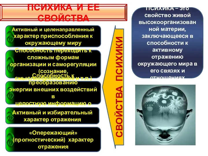 ПСИХИКА И ЕЕ СВОЙСТВА ПСИХИКА – это свойство живой высокоорганизованной