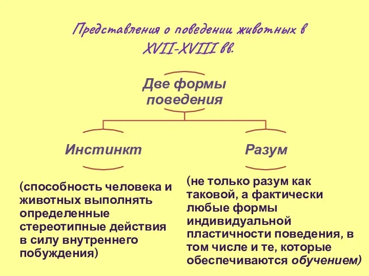 Представления о поведении животных в XVII-XVIII вв. (способность человека и