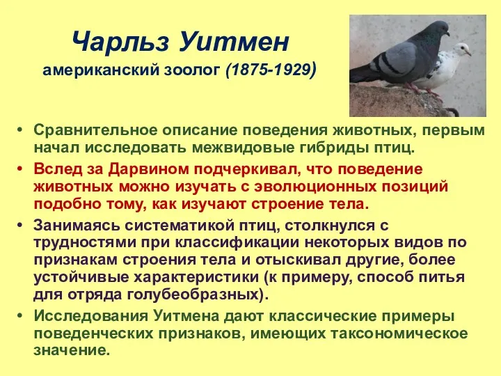 Чарльз Уитмен американский зоолог (1875-1929) Сравнительное описание поведения животных, первым