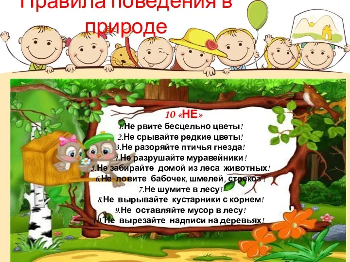 Правила поведения в природе 10 «НЕ» Не рвите бесцельно цветы!