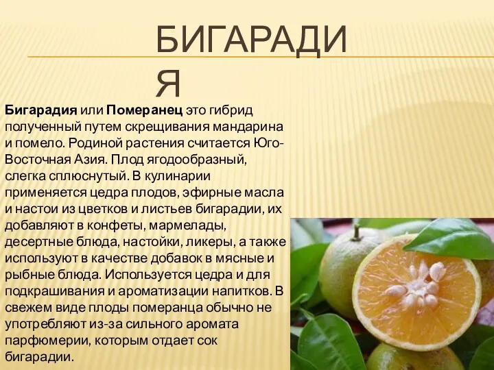БИГАРАДИЯ Бигарадия или Померанец это гибрид полученный путем скрещивания мандарина и помело. Родиной