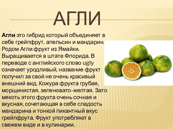 АГЛИ . Агли это гибрид который объединяет в себе грейпфрут, апельсин и мандарин.