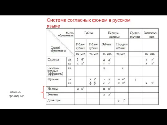 Смычно-проходные Система согласных фонем в русском языке