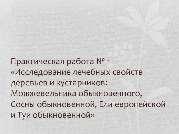 Практическая работа № 1 «Исследование лечебных свойств деревьев и кустарников: