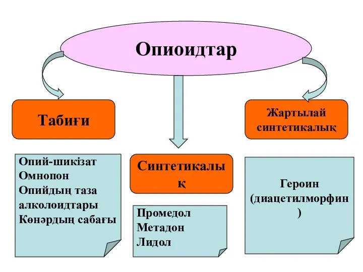 Опиоидтар Табиғи Синтетикалық Жартылай синтетикалық Опий-шикізат Омнопон Опийдың таза алколоидтары