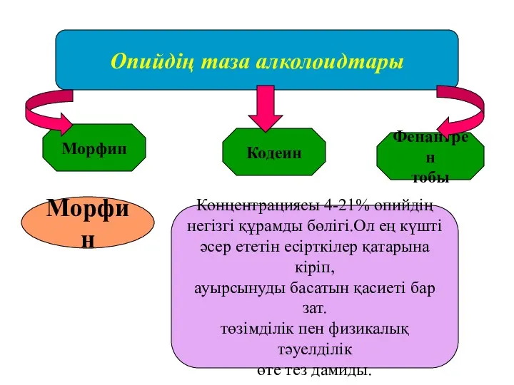 Опийдің таза алколоидтары Морфин Кодеин Фенантрен тобы Морфин Концентрациясы 4-21%