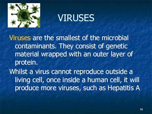 VIRUSES Viruses are the smallest of the microbial contaminants. They