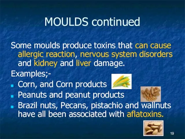 MOULDS continued Some moulds produce toxins that can cause allergic