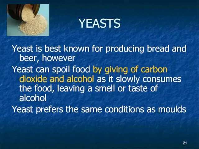 YEASTS Yeast is best known for producing bread and beer,