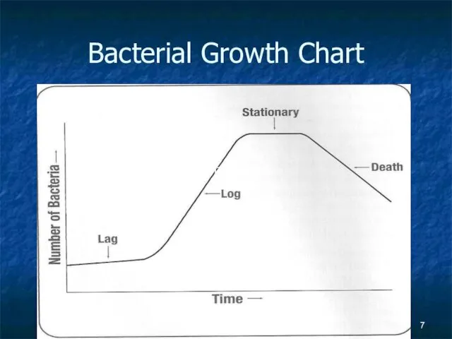Bacterial Growth Chart Bacterial Growth