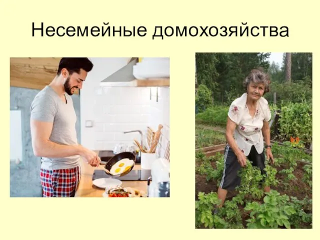 Несемейные домохозяйства