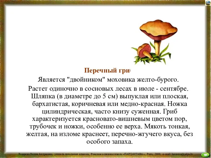 Перечный гриб Является "двойником" моховика желто-бурого. Растет одиночно в сосновых