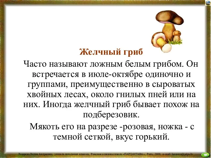 Желчный гриб Часто называют ложным белым грибом. Он встречается в