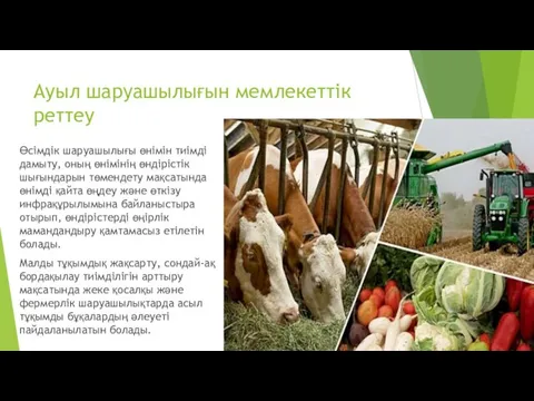 Ауыл шаруашылығын мемлекеттік реттеу Өсімдік шаруашылығы өнімін тиімді дамыту, оның