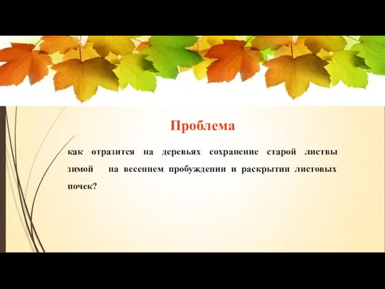 Проблема как отразится на деревьях сохранение старой листвы зимой на весеннем пробуждении и раскрытии листовых почек?