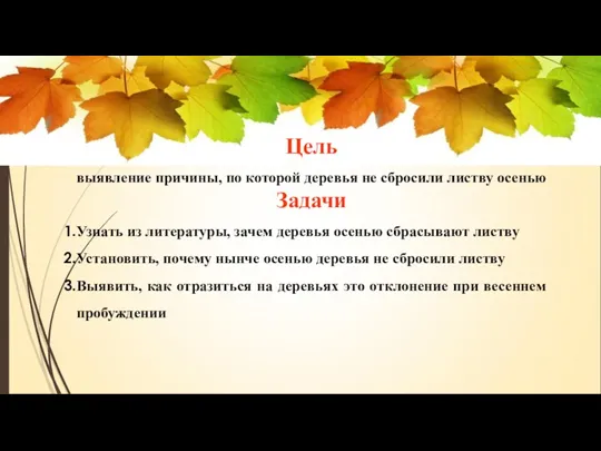 Цель выявление причины, по которой деревья не сбросили листву осенью