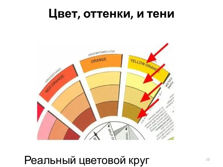 Цвет, оттенки, и тени Реальный цветовой круг