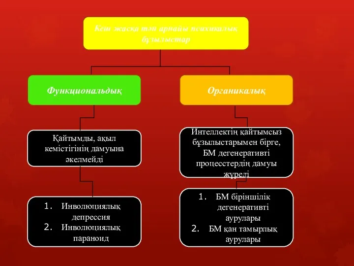 Кеш жасқа тән арнайы психикалық бұзылыстар Функциональдық Органикалық Қайтымды, ақыл кемістігінің дамуына әкелмейді