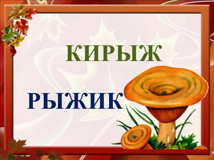 КИРЫЖ РЫЖИК