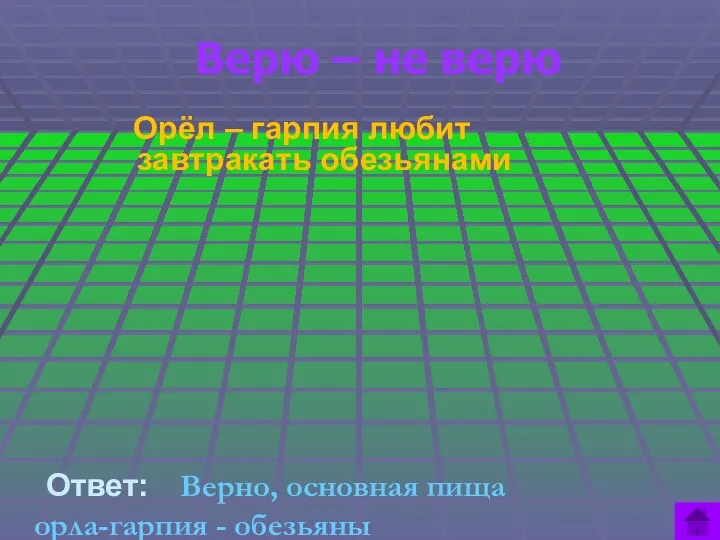 Верю – не верю Орёл – гарпия любит завтракать обезьянами