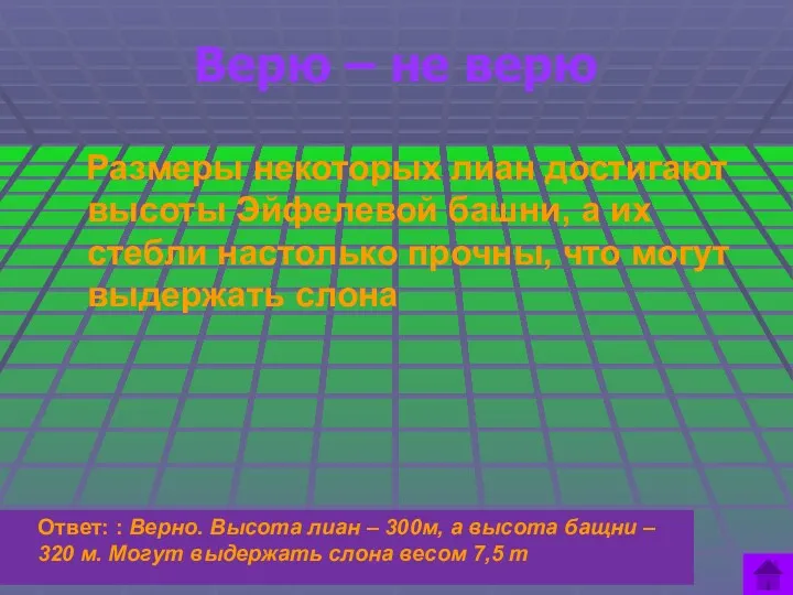 Верю – не верю Ответ: : Верно. Высота лиан –