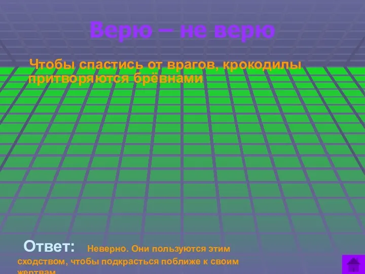 Верю – не верю Чтобы спастись от врагов, крокодилы притворяются