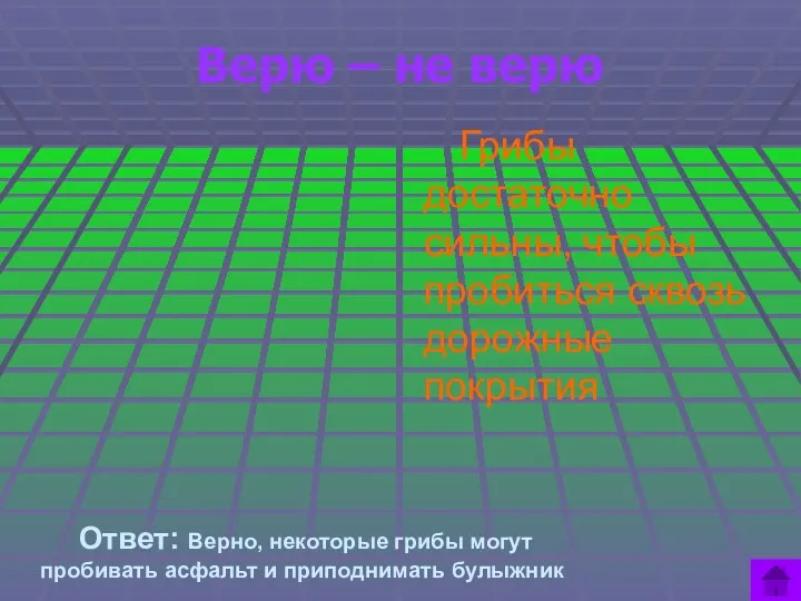 Верю – не верю Грибы достаточно сильны, чтобы пробиться сквозь