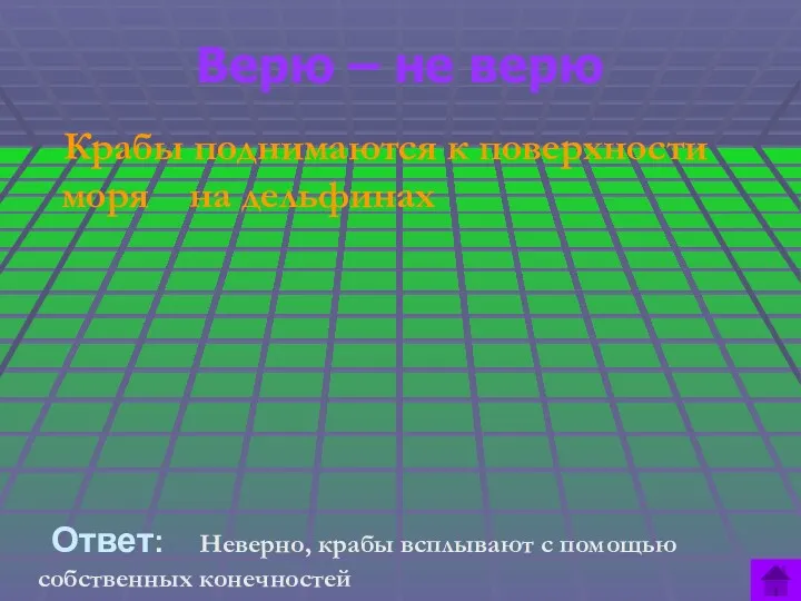 Верю – не верю Крабы поднимаются к поверхности моря на