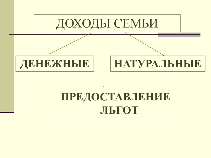 ДОХОДЫ СЕМЬИ ПРЕДОСТАВЛЕНИЕ ЛЬГОТ ДЕНЕЖНЫЕ НАТУРАЛЬНЫЕ