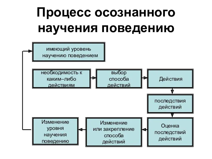 Процесс осознанного научения поведению