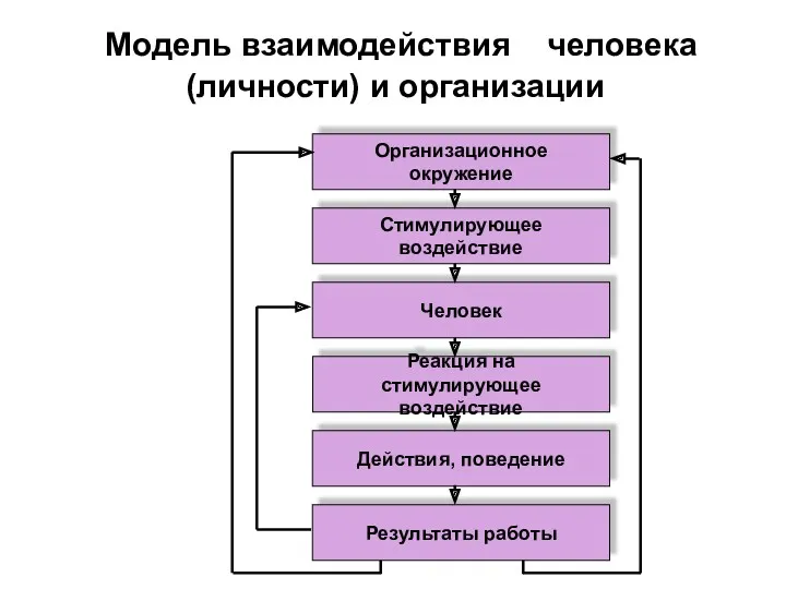 Модель взаимодействия человека (личности) и организации Организационное окружение Стимулирующее воздействие