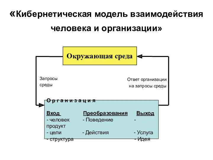 «Кибернетическая модель взаимодействия человека и организации»