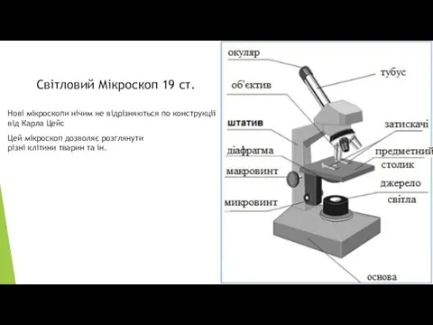 Світловий Мікроскоп 19 ст. Нові мікроскопи нічим не відрізняються по