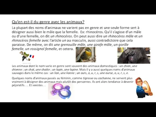 Qu’en est-il du genre avec les animaux? La plupart des