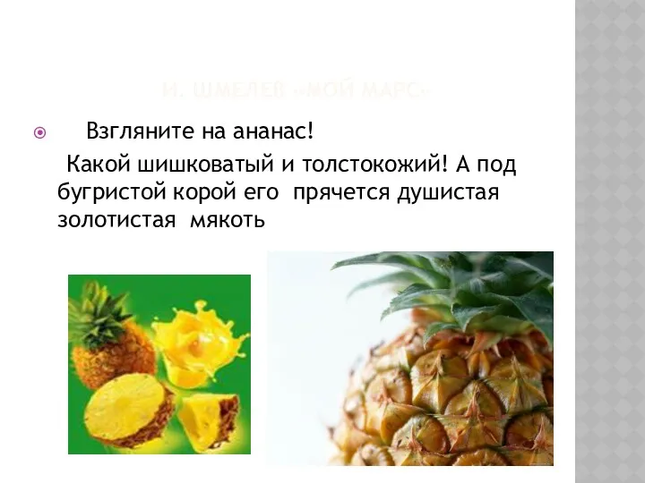 И. ШМЕЛЕВ «МОЙ МАРС» Взгляните на ананас! Какой шишковатый и толстокожий! А под