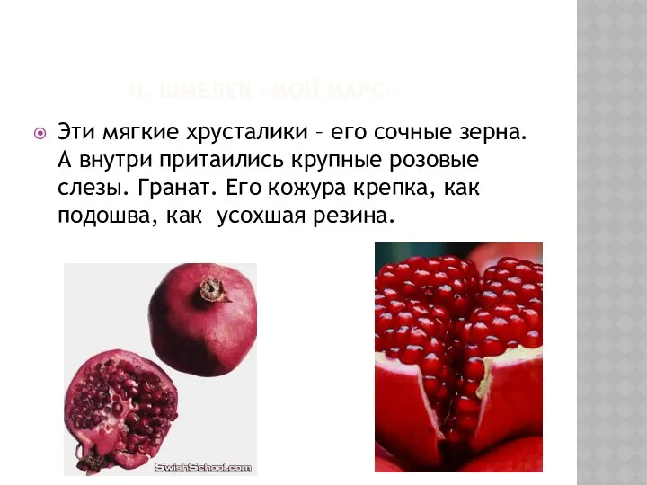 И. ШМЕЛЕВ «МОЙ МАРС» Эти мягкие хрусталики – его сочные зерна. А внутри