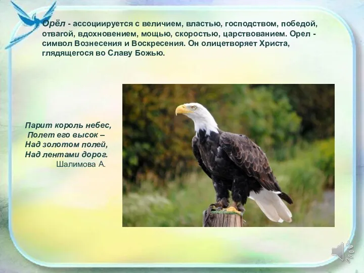 Орёл - ассоциируется с величием, властью, господством, победой, отвагой, вдохновением,