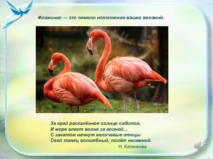 Фламинго — это символ исполнения ваших желаний. За край раскалённое